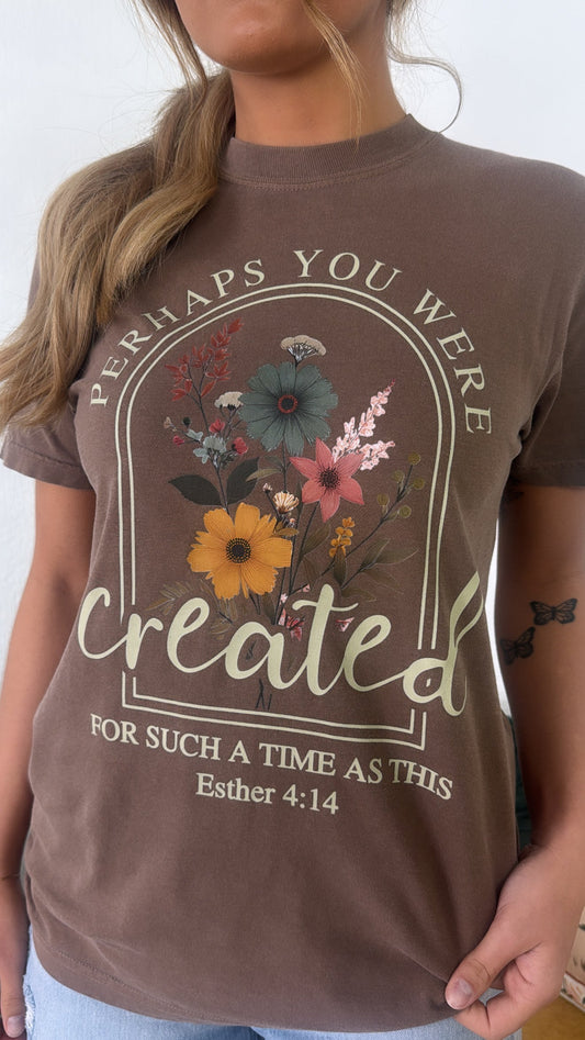 Perhaps You Were Created Graphic Tee, Brown