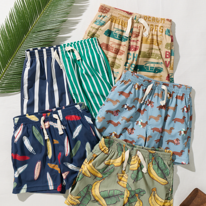 Baby Boys Swim Trunk - Multi Stripe