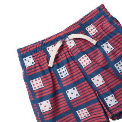 Baby Boys Swim Trunk - Navy Flag