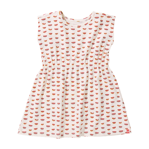 Playground Dress - Watermelons